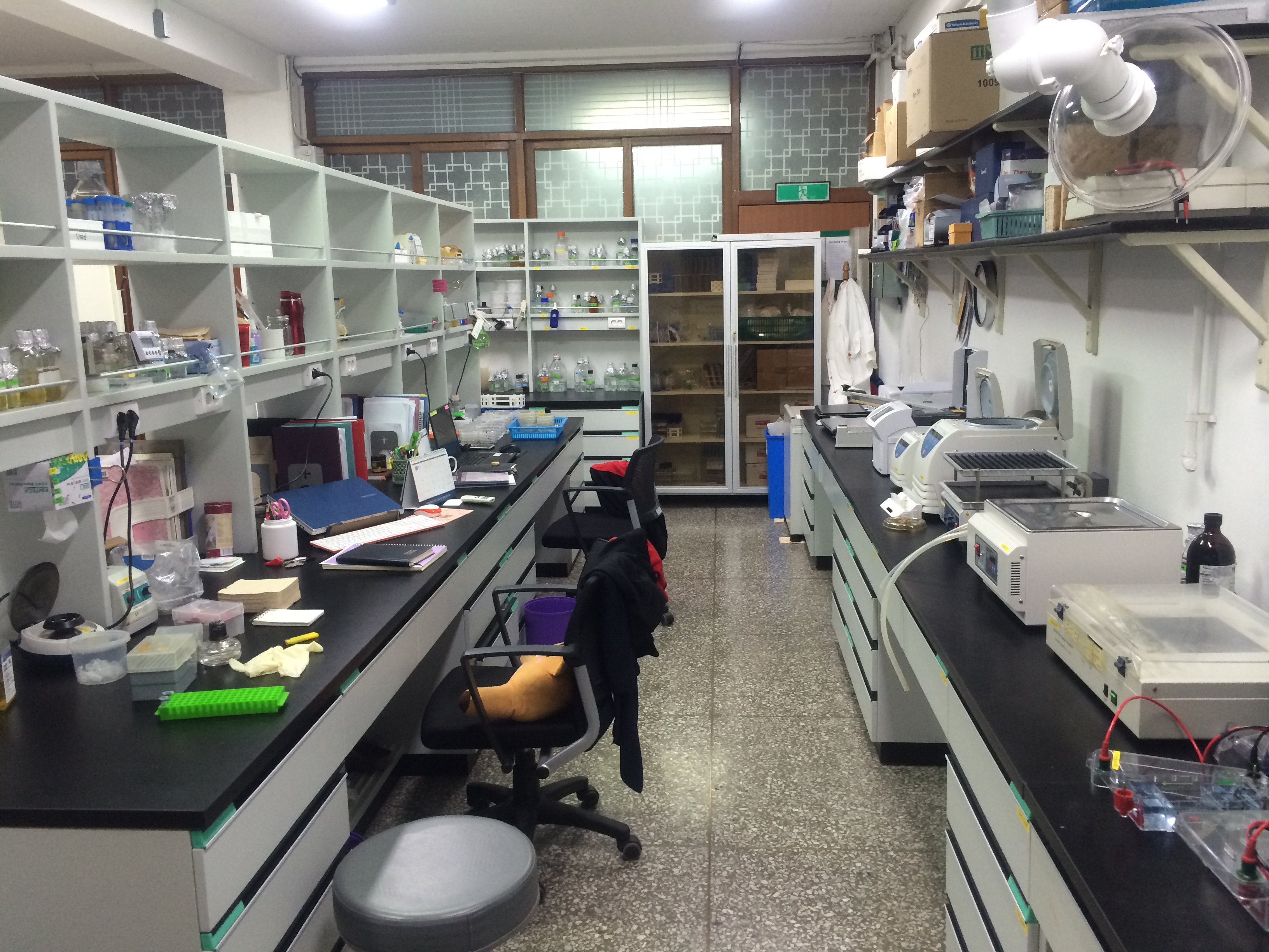 Lab renovatioon 2014 Aug. IMG_1193.JPG