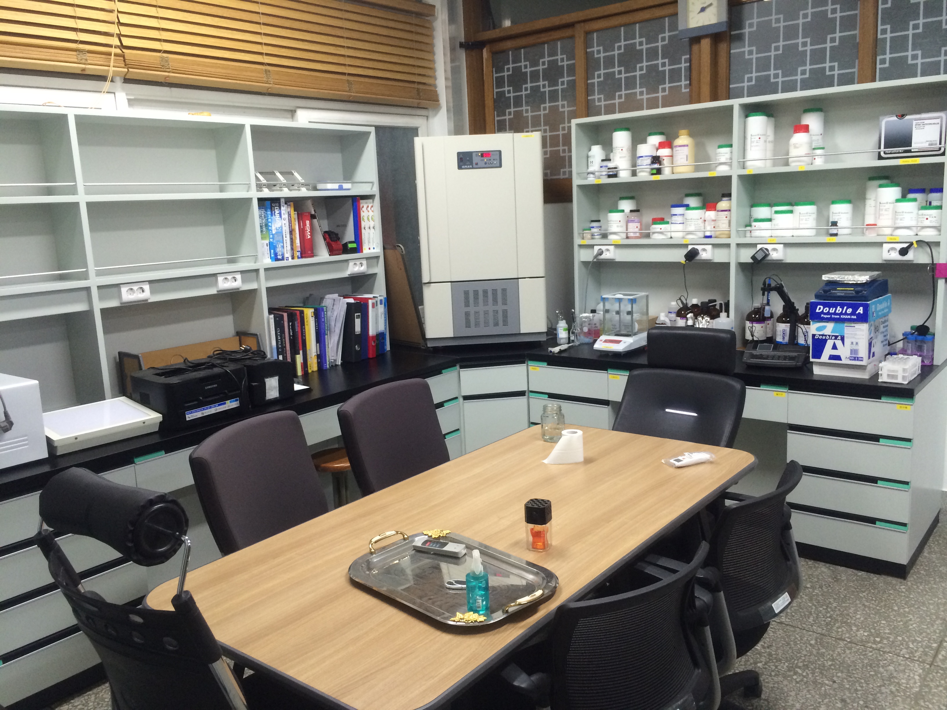 Lab renovatioon 2014 Aug. IMG_1195.JPG