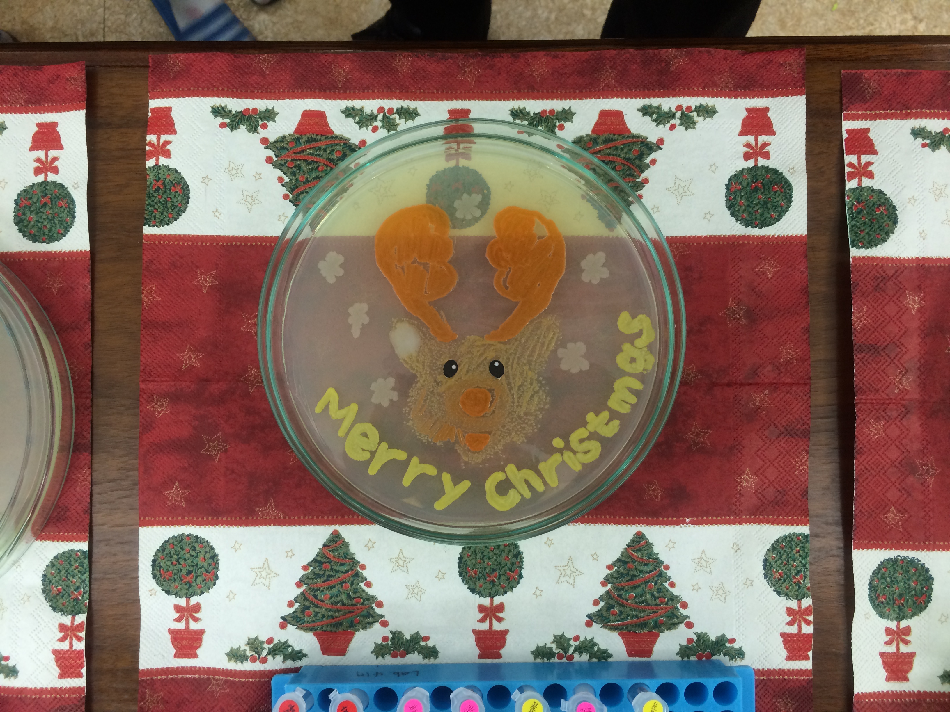 2014 Christmas party IMG_1826.JPG