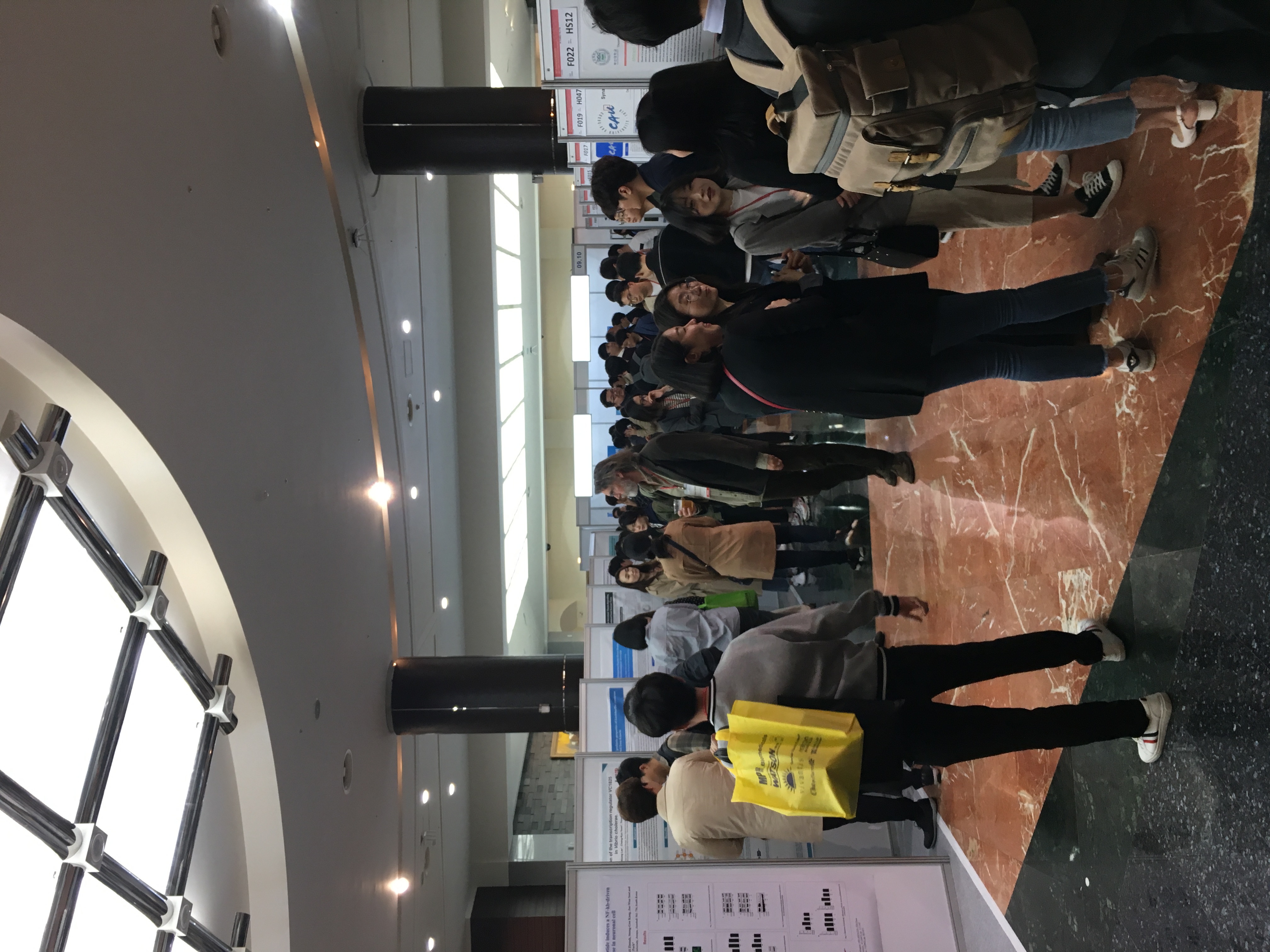 2019 MSK in Jeju IMG_4130.JPG