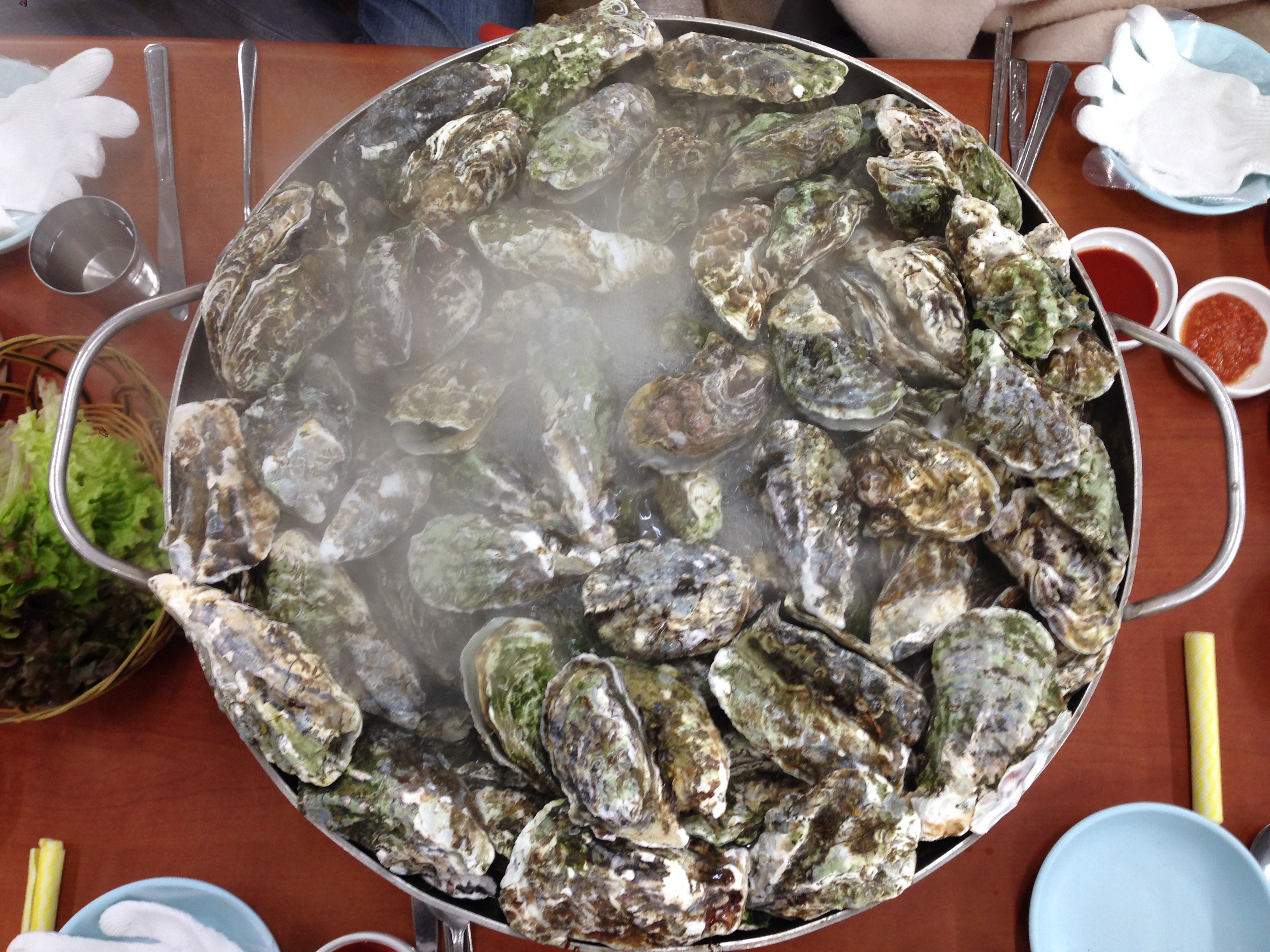 2016 Winter MT IMG_4752.JPG