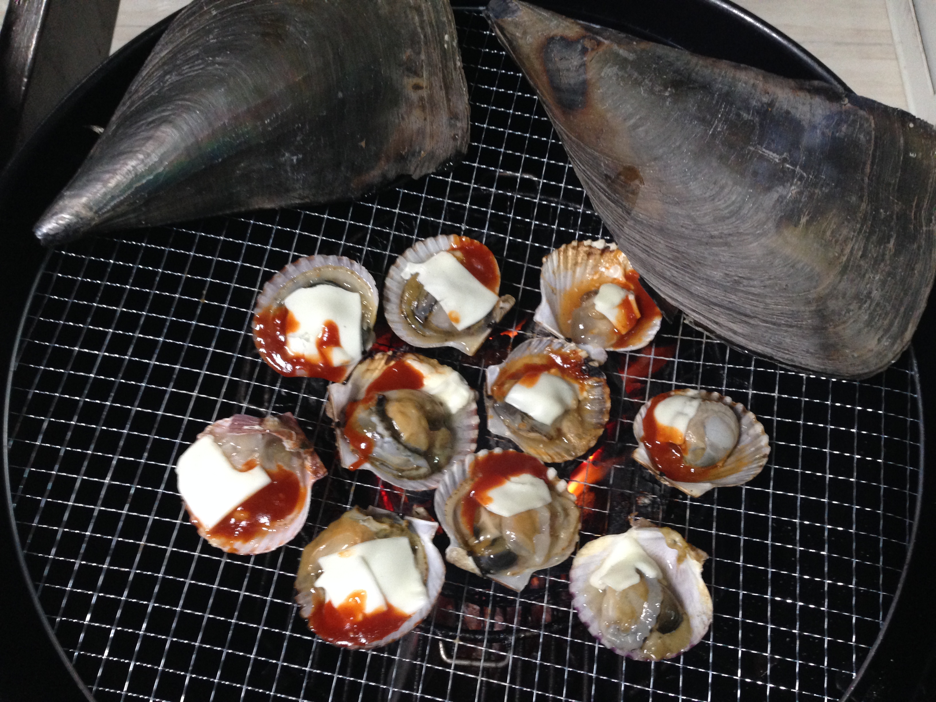 2016 Winter MT IMG_4746.JPG