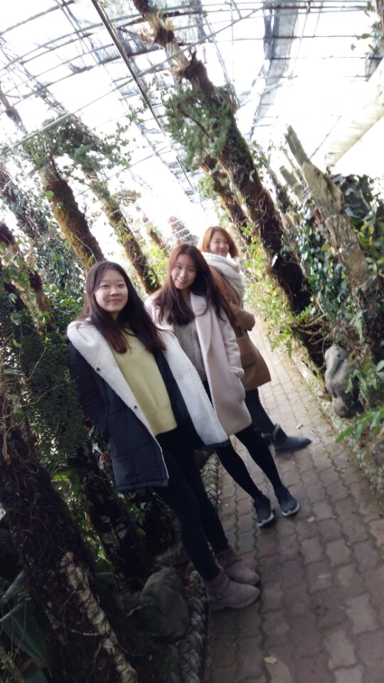 2016 Winter MT IMG_4757.JPG