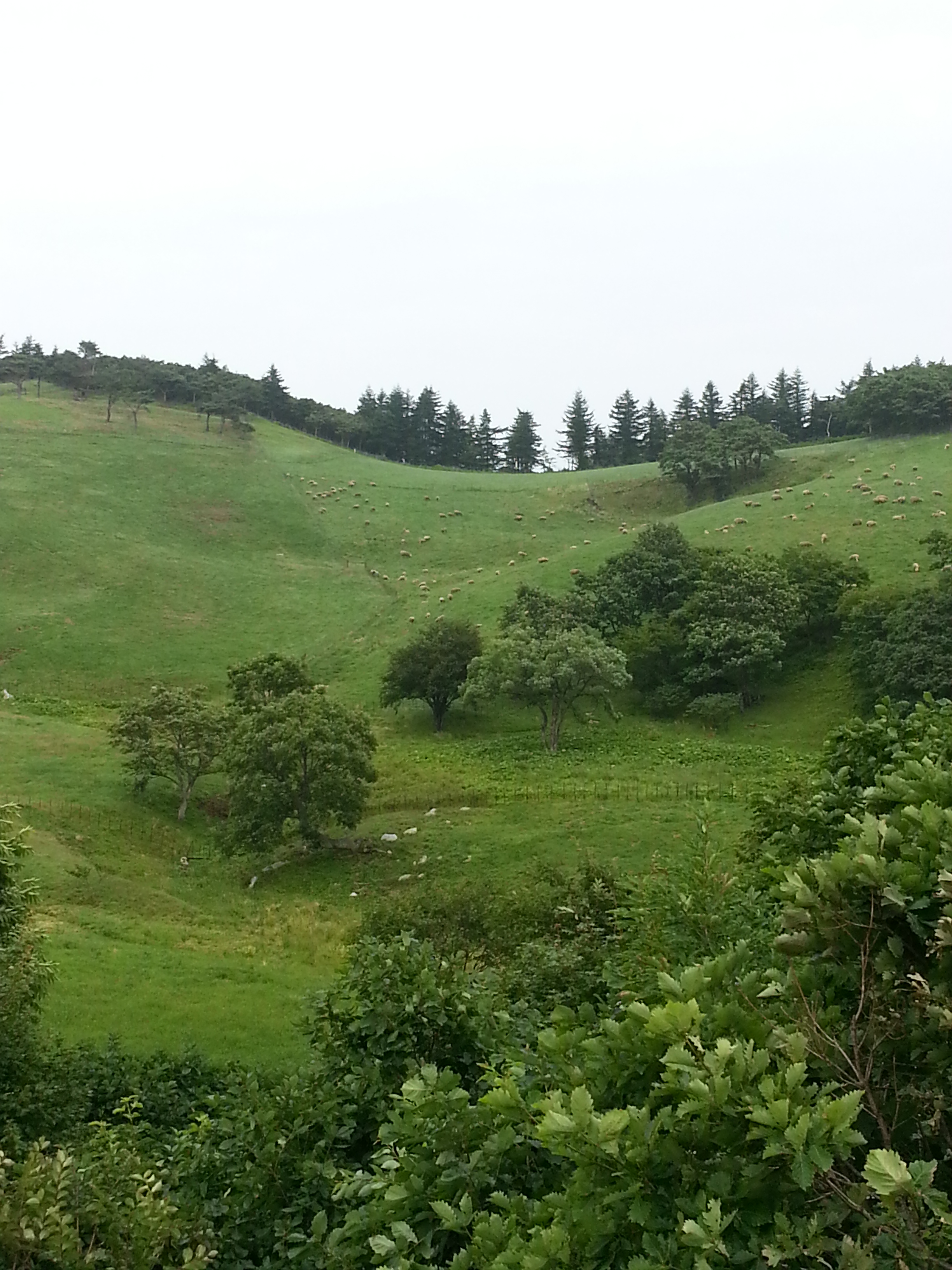 2013 Conference at Alpensia 20130705_134606.jpg