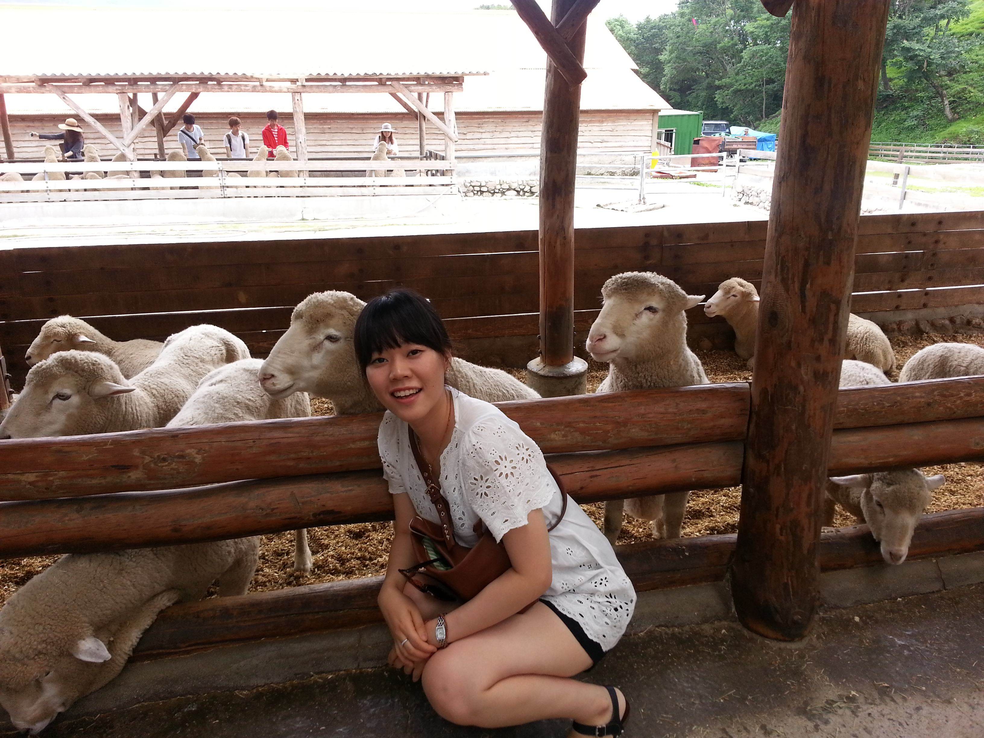 2013 Conference at Alpensia 20130705_135242.jpg