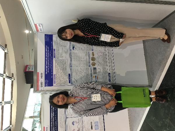 2019 MSK in Jeju 대표이미지